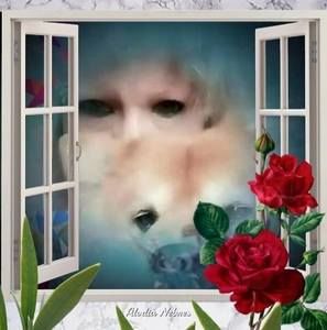 Meet your Posher, Carol